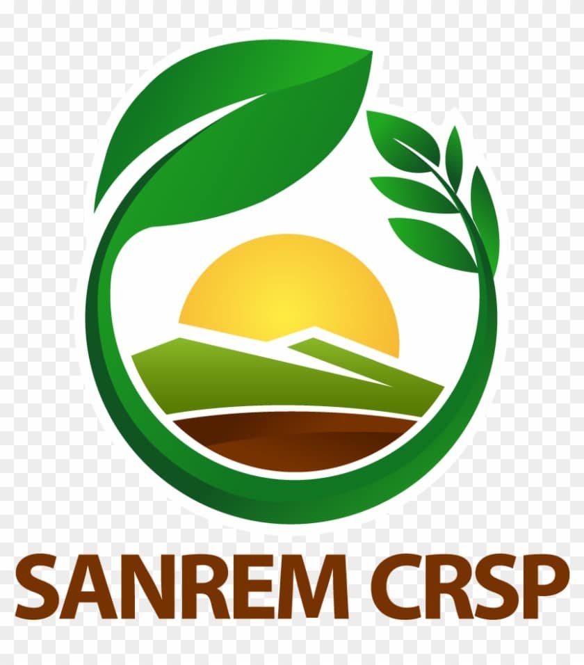 محمد العنسي