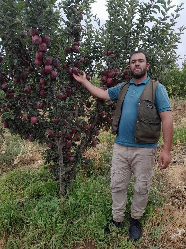 عبدالقادر بن يوسف