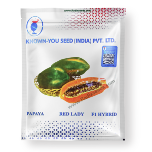 golden lady f1 (نسخة)